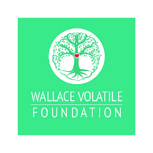 WallaceVoltatileFoundation-100